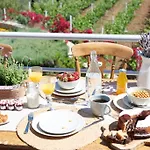 Vineyard Estate Vila Porto Cheli