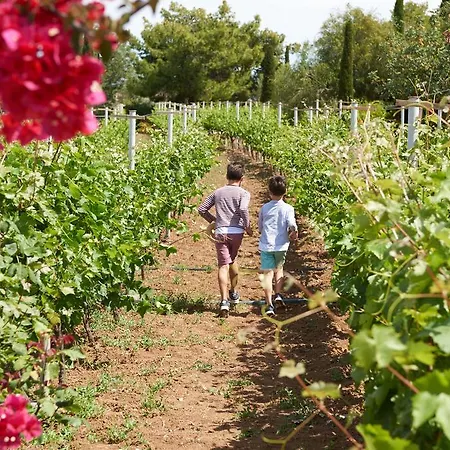 Vineyard Estate Willa Porto Heli