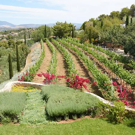 Vineyard Estate Βίλα Πόρτο Χέλι