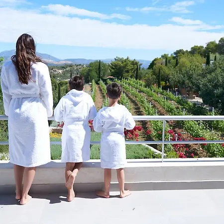 Vineyard Estate Villa