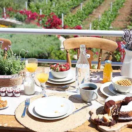 Vineyard Estate Villa Porto Heli