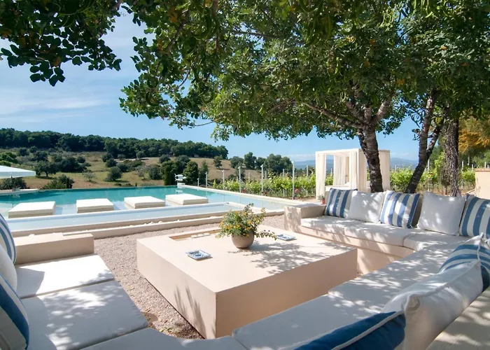 Vineyard Estate Βίλα *