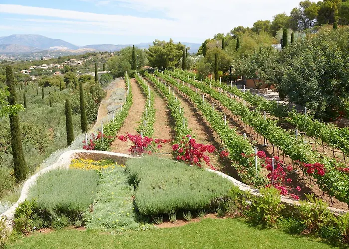 Vineyard Estate Βίλα Πόρτο Χέλι