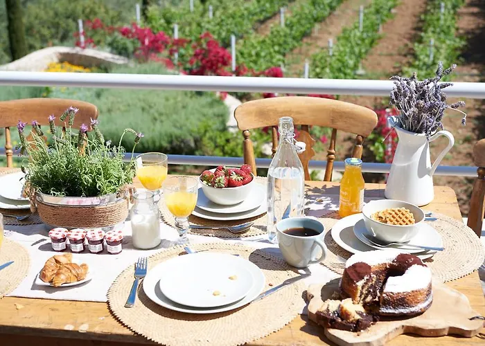 Vineyard Estate Βίλα Πόρτο Χέλι