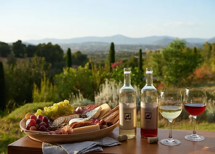 Vineyard Estate Βίλα *